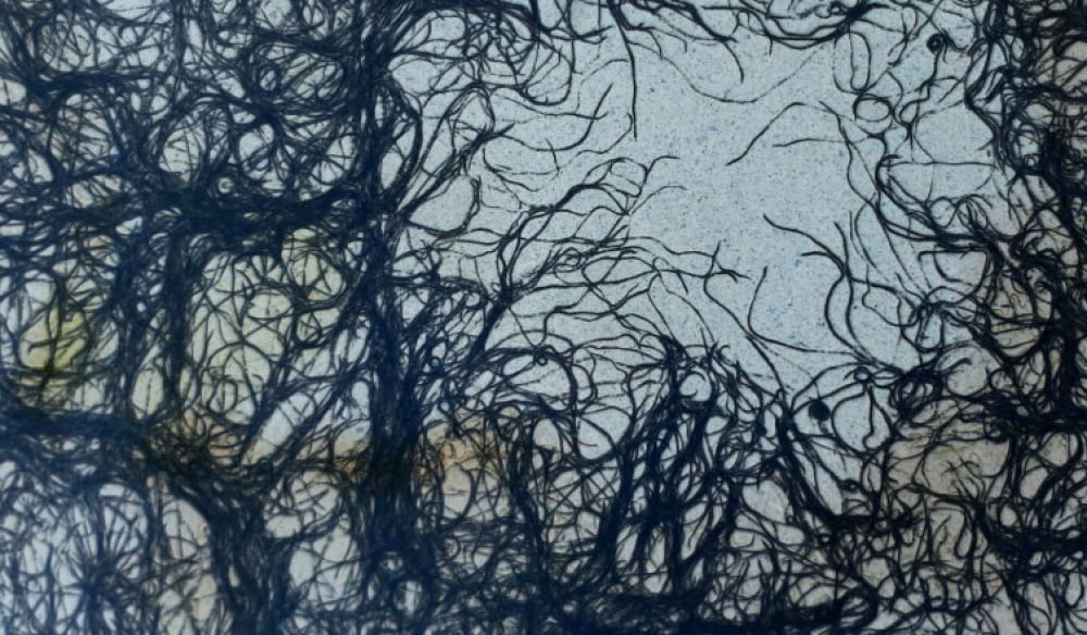 SLIGHT SHIFT – Lautes Flüstern schwebender Wände