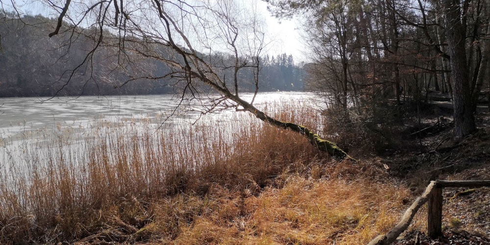 Werkabbildung zeitgenössische Kunst Responsive image